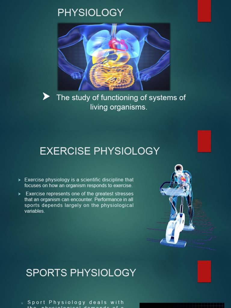 Heart Rate Monitoring in Hockey Training | PDF | Performance Indicator ...