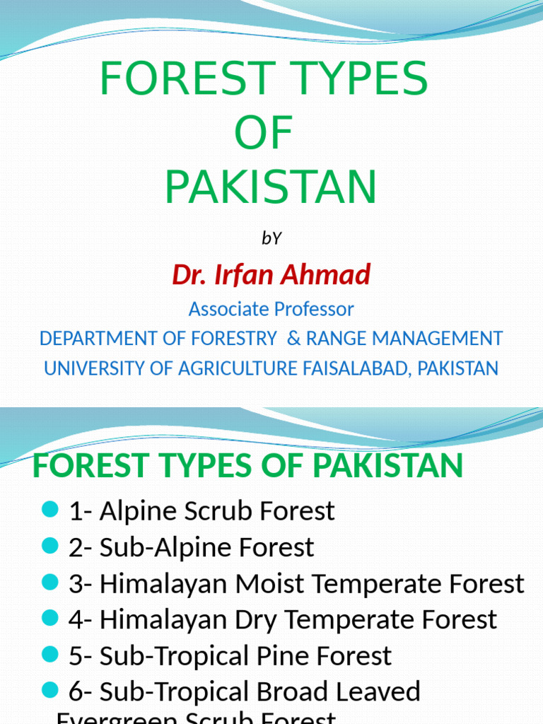 Forest Types of PAK | PDF | Forests | Trees