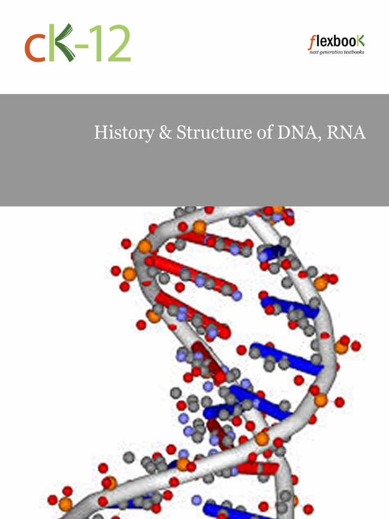 DNA-RNA-Protein B v24 q9d | PDF | Messenger Rna | Genetic Code