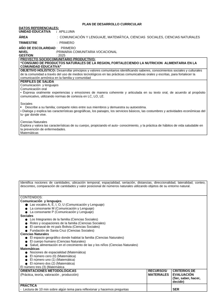 Plan de Desarrollo Curricular 2025 | PDF | Matemáticas | Ciencias Sociales