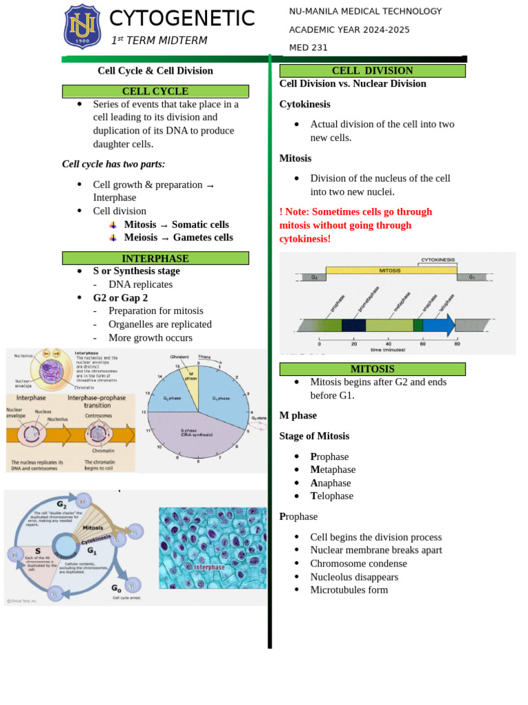 Cell Cycle & Cell Division | PDF | Meiosis | Mitosis