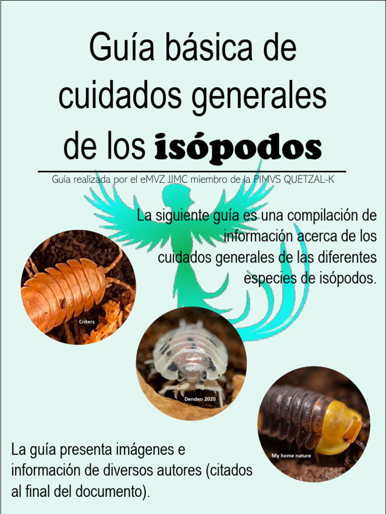 Cuidados Esenciales para Isópodos | PDF | Habitat