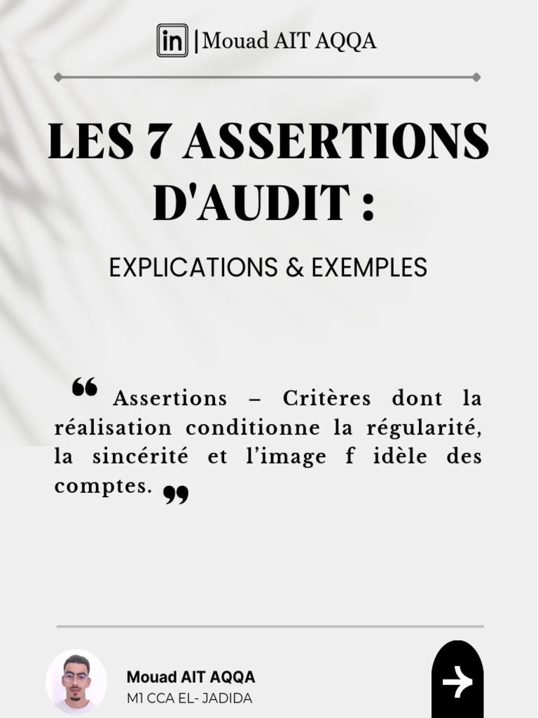 Les 7 Assertions d'Audit : Guide Complet | PDF | Bilan comptable | Business