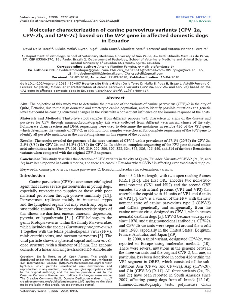 Molecular Characterization of Canine Parvovirus Variants (CPV-2a | PDF ...
