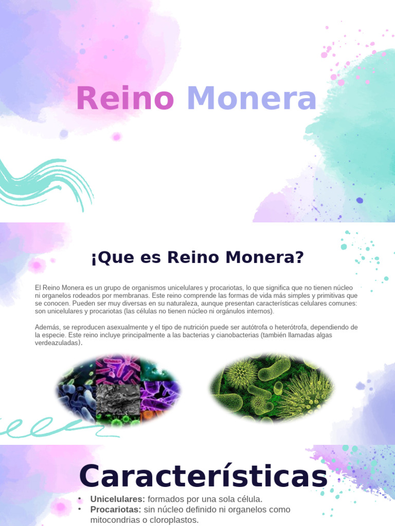 Reino Monera | PDF