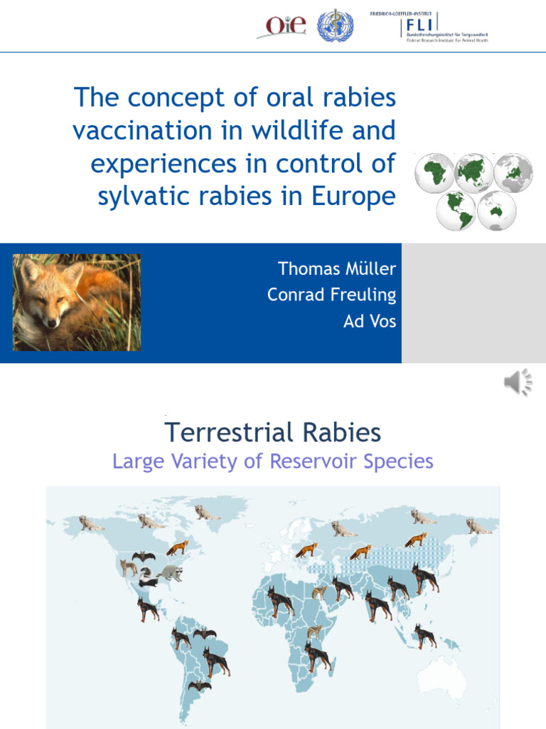 Oral Rabies Vaccination in Wildlife | PDF | Vaccines | Rabies