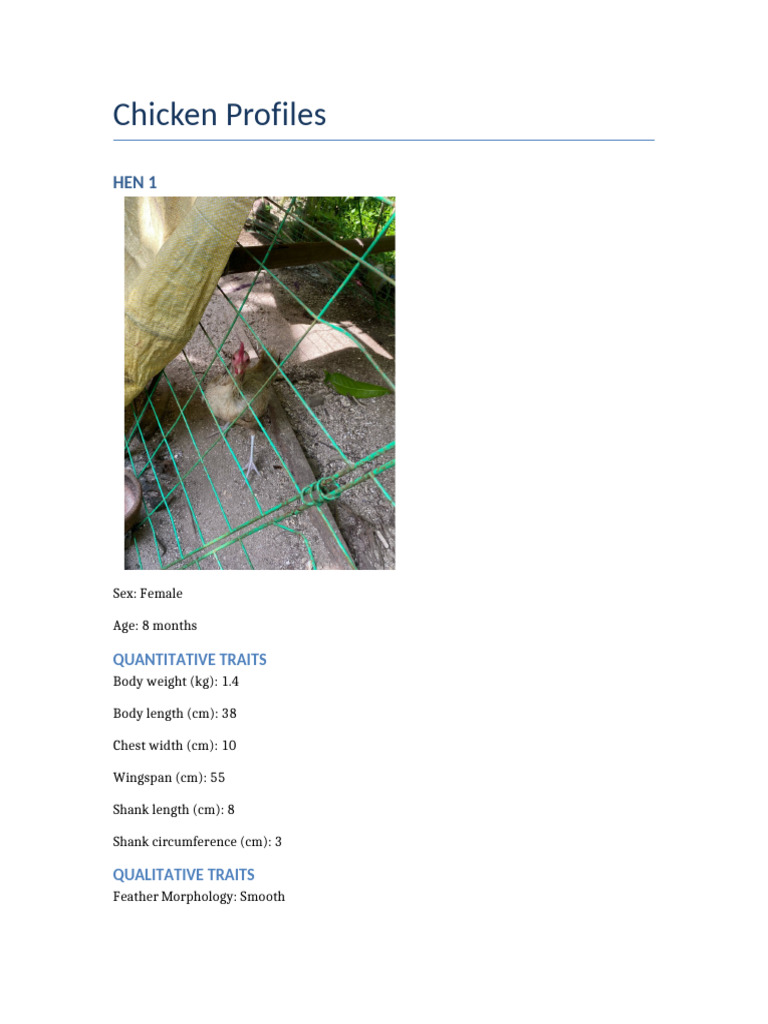 Chicken Profiles | PDF
