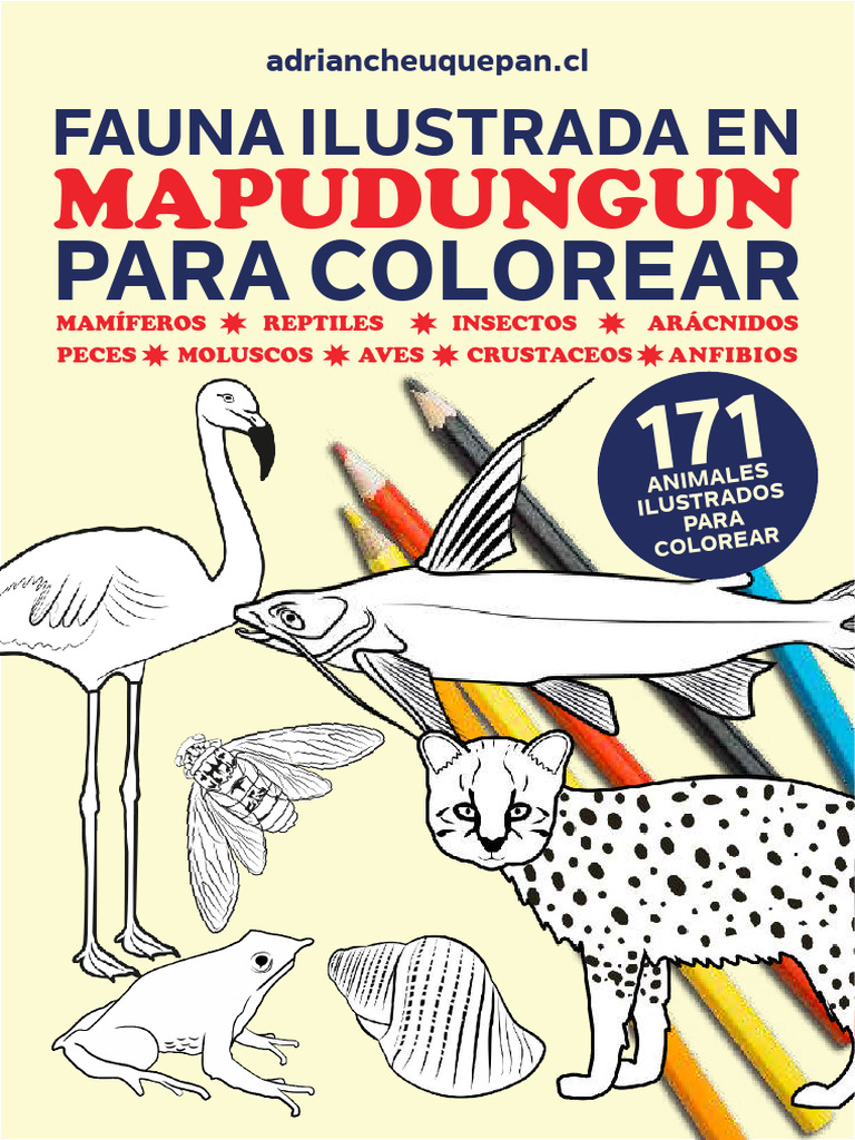 Fauna Mapuche para Colorear en Mapudungun | PDF | Zoología