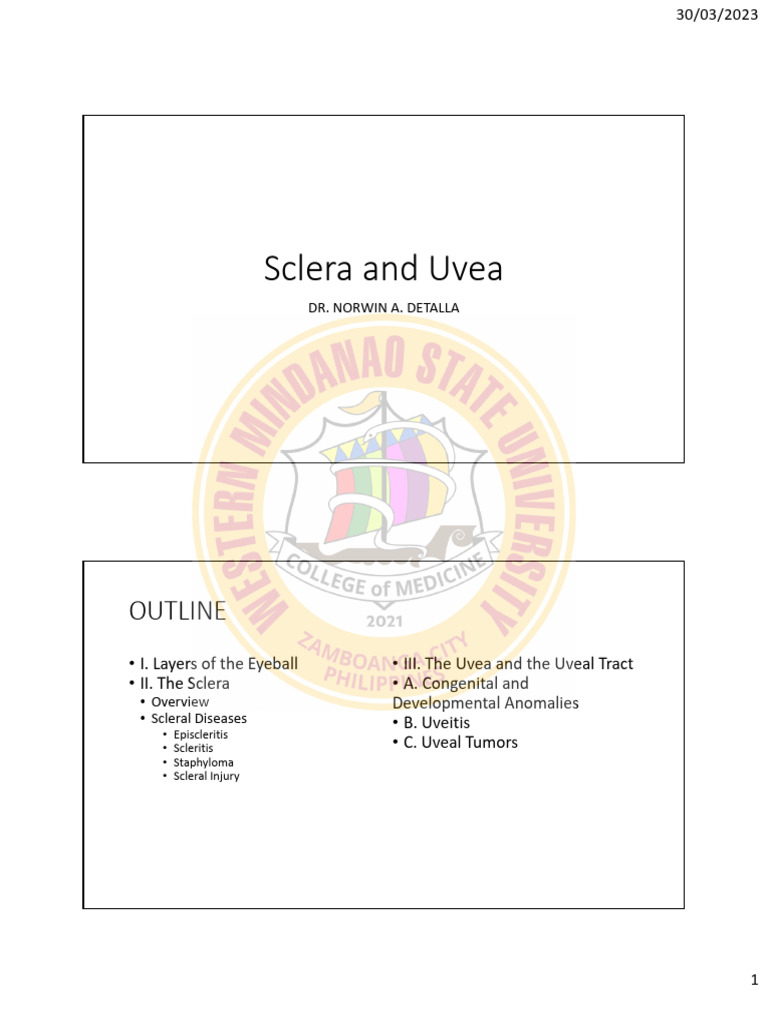 Ophthalmology 1.08 Sclera and Uvea | PDF | Glaucoma | Human Eye