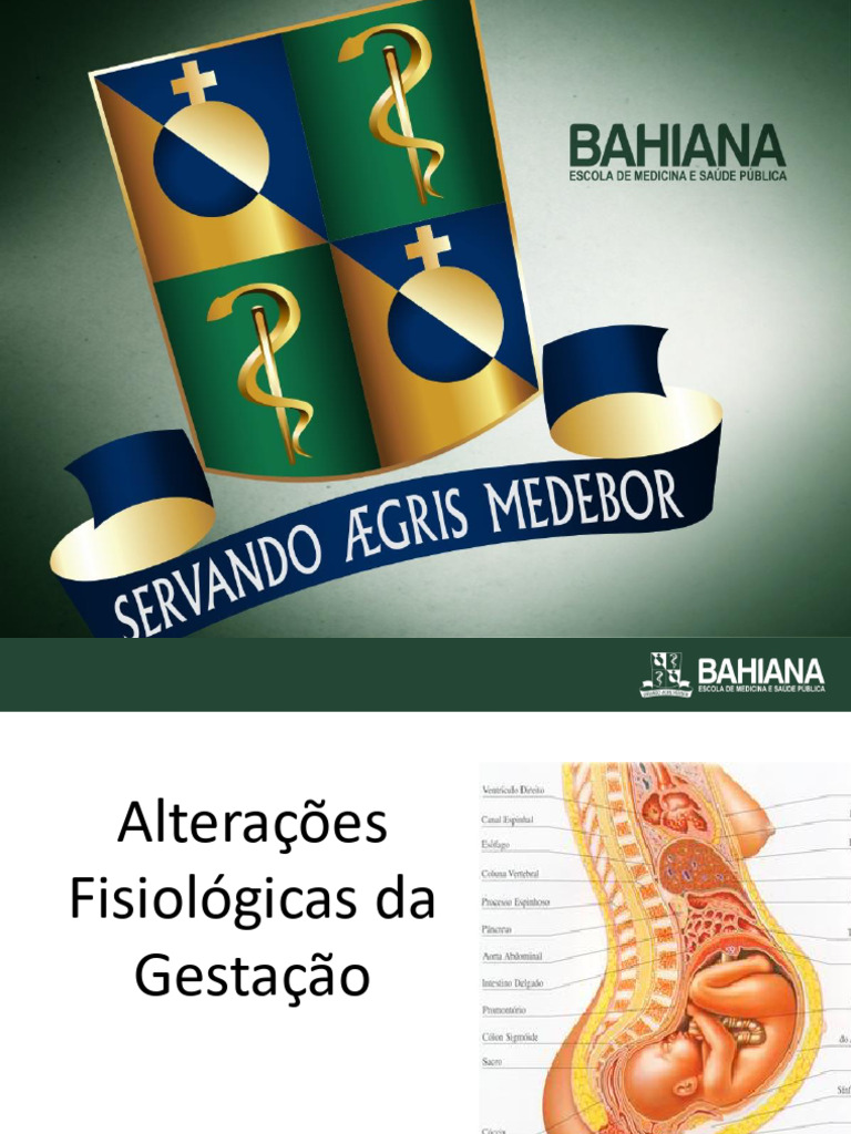 altera-es-fisiol-gicas-na-gesta-o-pdf-gravidez-rim