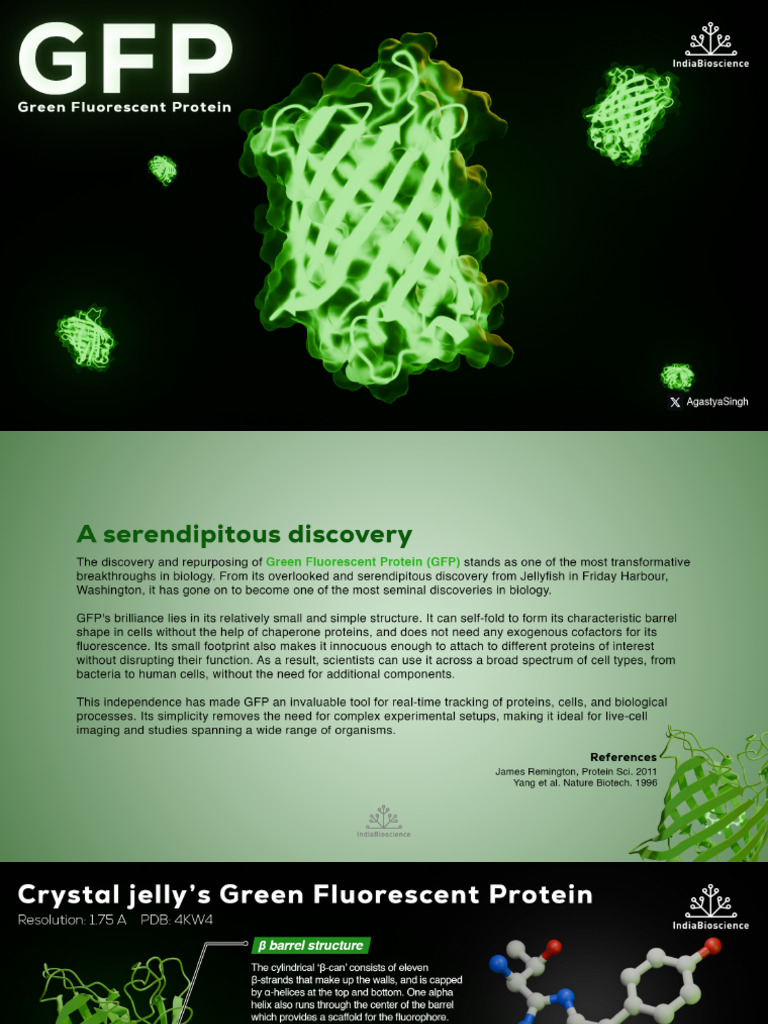 GFP | PDF