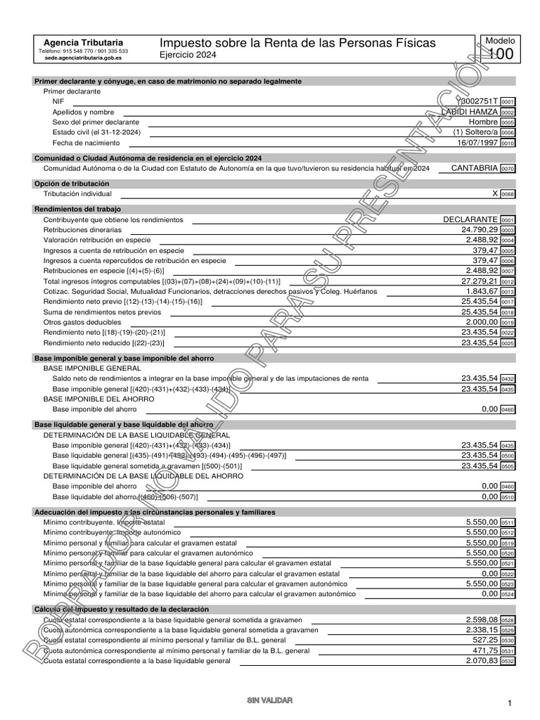 Borrador IRPF 2024 - Labidi Hamza | PDF | Finanza pública | Pagos