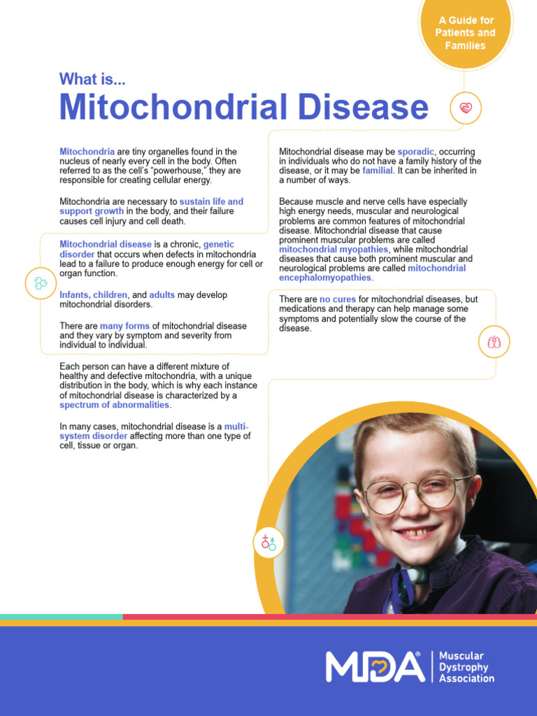 Mitochondrial Disease Overview for Families | PDF | Mitochondrion ...