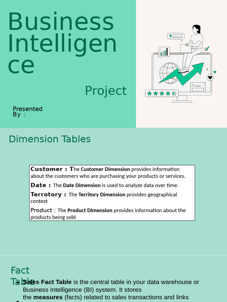 Business Intelligence Project Overview | PDF