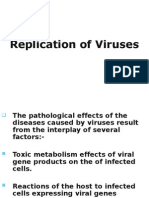 Replication of Viruses Black n White