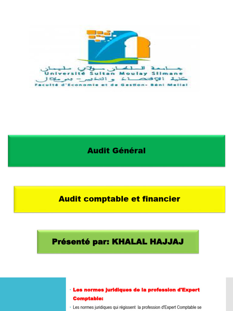 Normes de l'Audit Comptable et Financier | PDF