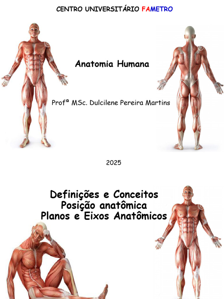 Posição Anatômica e Anatomia Humana | PDF | Anatomia | Corpo humano