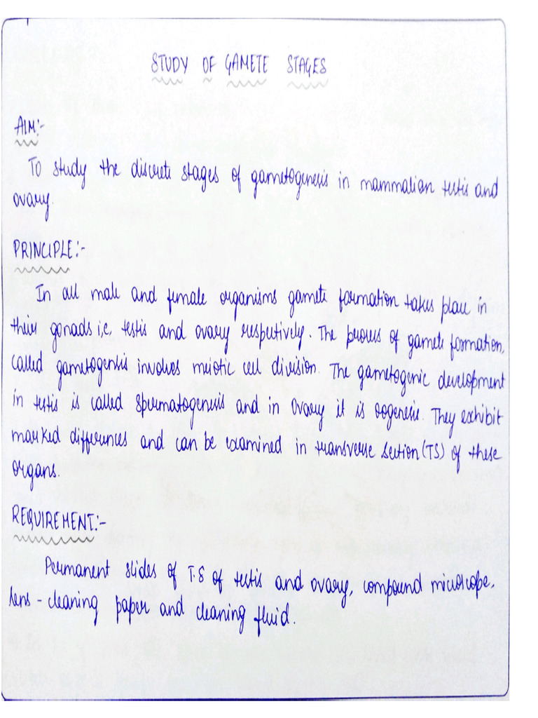 Experiment No 8 | PDF