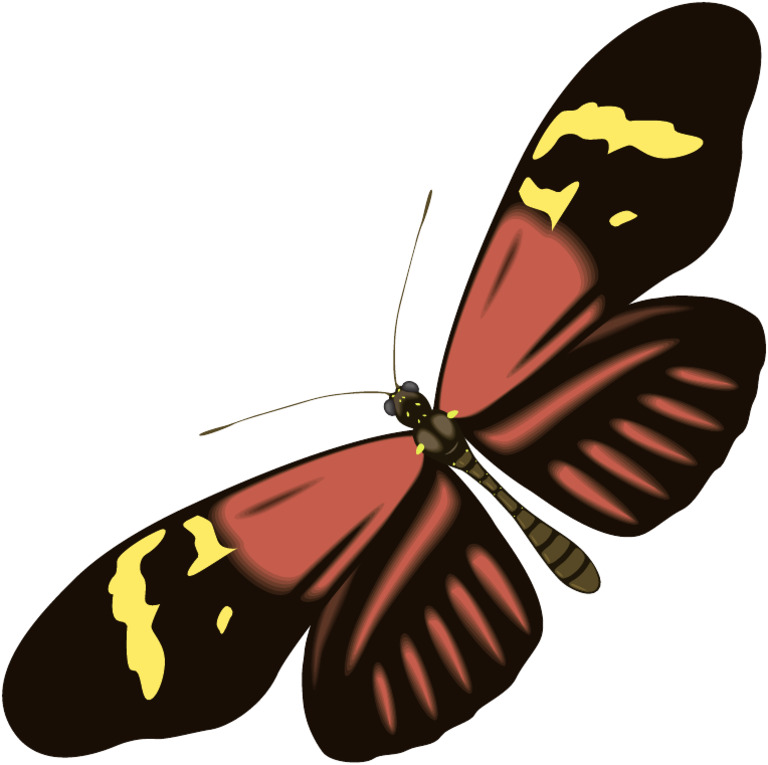 Butterfly | PDF