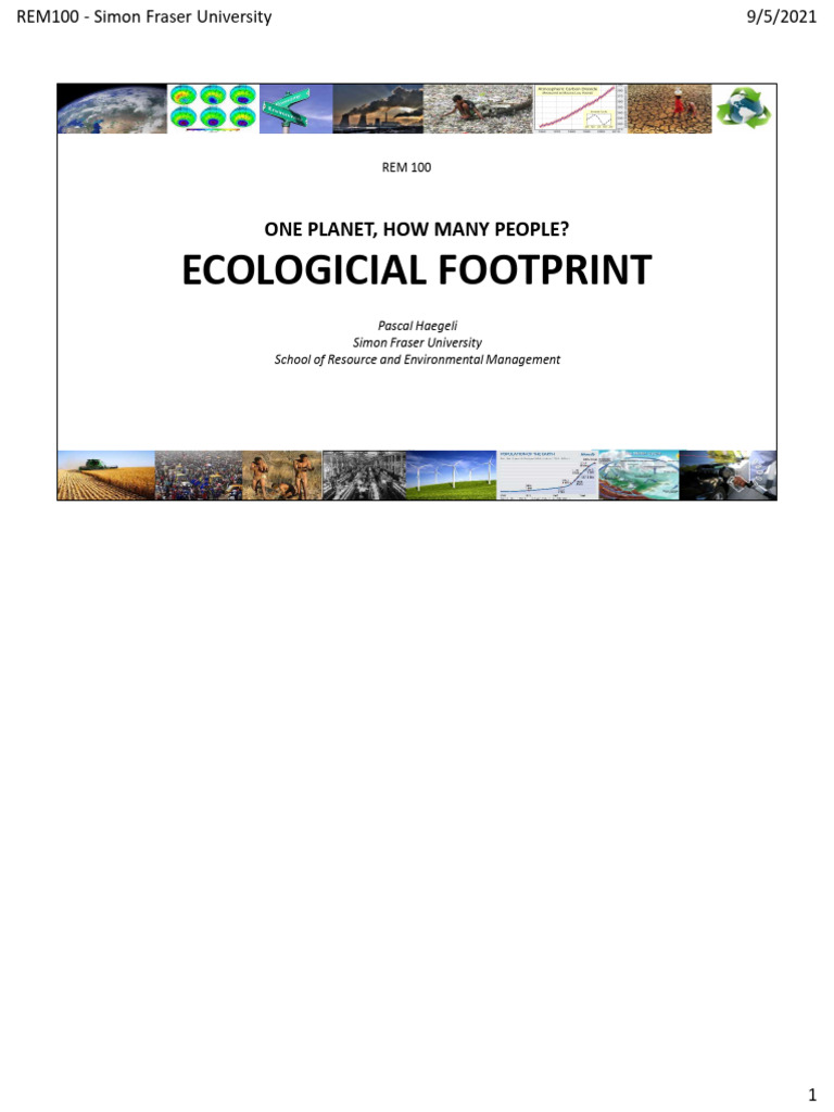 Ecological Footprint and Earth's Capacity | PDF | Natural Environment ...