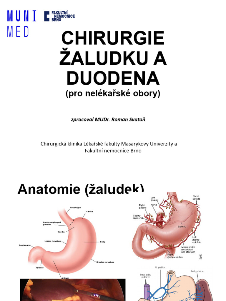 Chirurgie Zaludku A Duodena NLO | PDF