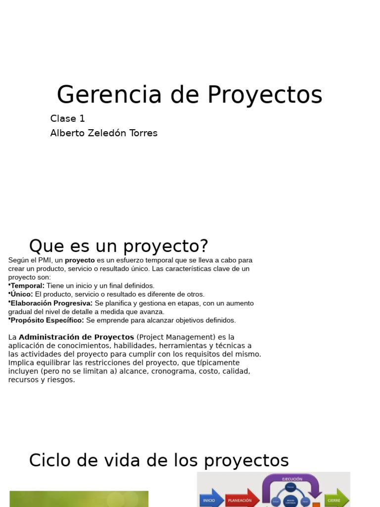 Introducción a la Gerencia de Proyectos | PDF