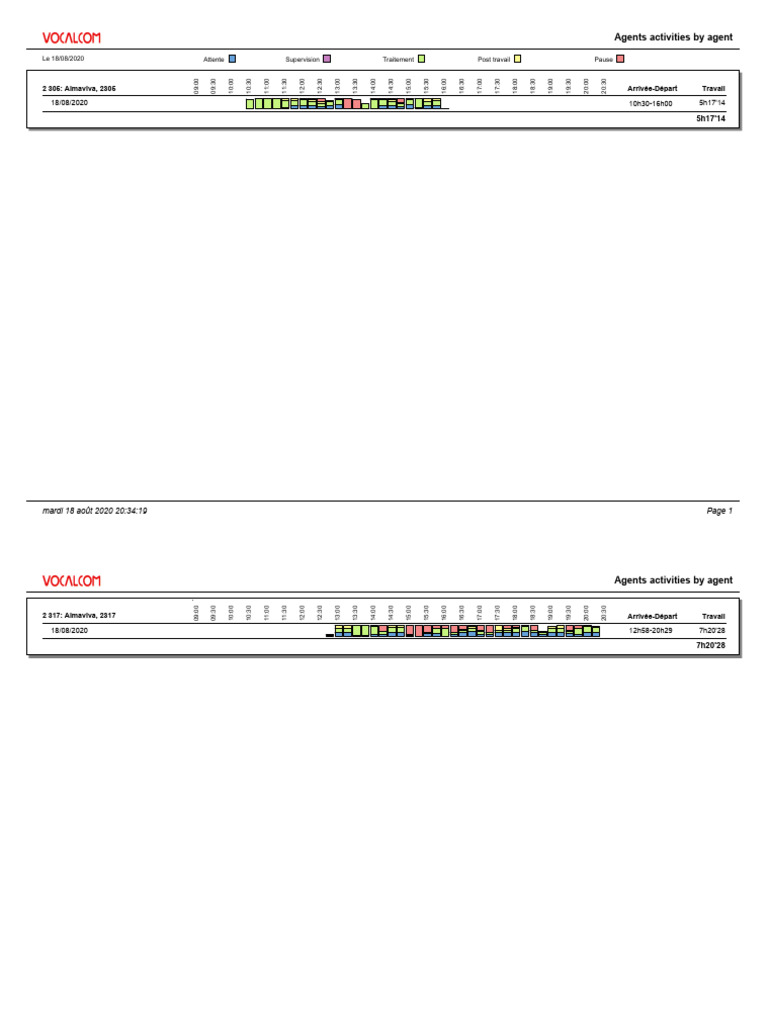 Almaviva Agent Activity Report | PDF