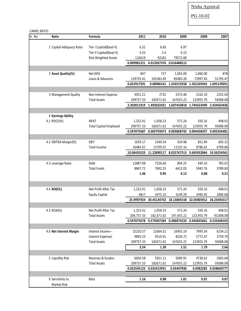 Interpretation of the CAMEL Ratio Margin (Finance) Capital Adequacy