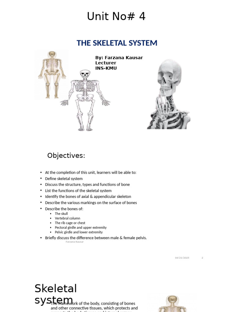 Overview of the Skeletal System | PDF | Vertebral Column | Pelvis