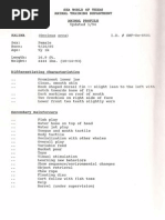 Download SeaWorld Orca Profile- Killer Whale Kalina 1994 by The Orca Project Corp SN85234214 doc pdf