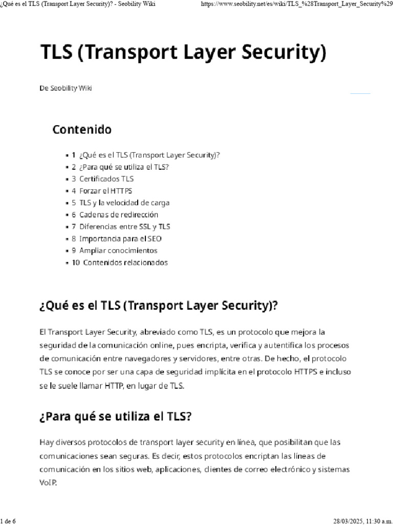 TLS - Transport Layer Security | PDF