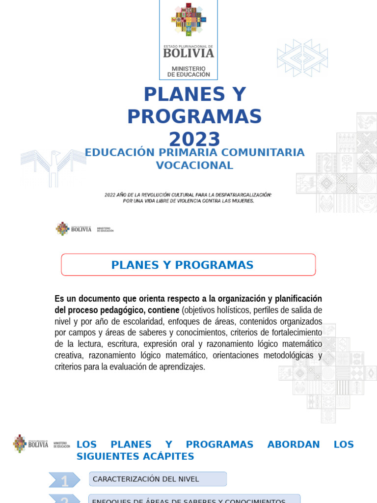Planes y Programas de Educación Primaria 2023 | PDF | Comprensión ...