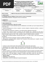 Protocolo de Prova Tuberculínica PPD RT-23 | PDF | Enfermagem | Sistema ...