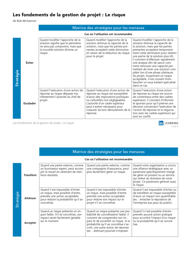 02 - 02 Threat Strategy Matrix | PDF | Risque | Gestion de projet