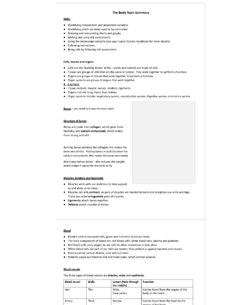 The Body Topic Summary | PDF