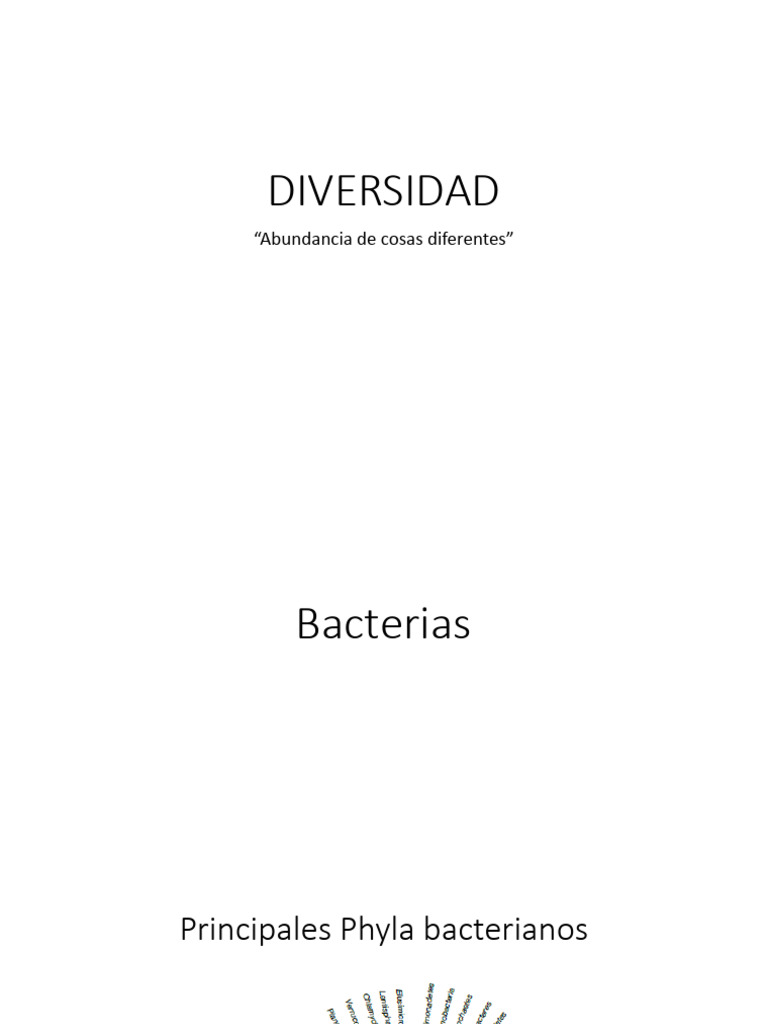 Diversidad de Bacterias y Arqueas | PDF | Las bacterias | Archaea