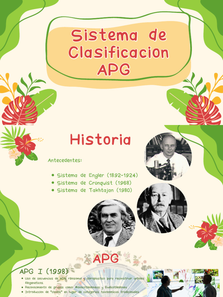 Evolución del Sistema de Clasificación APG | PDF