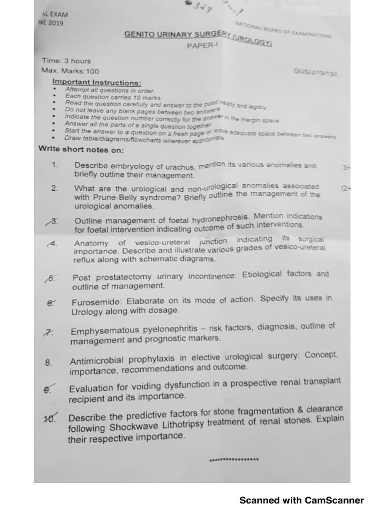 Urology Exam Insights and Topics | PDF | Urology | Urinary System