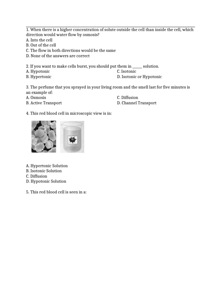 Osmosis and Cell Transport Quiz | PDF