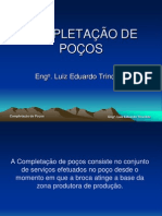 Completação de Poços de Petróleo - Eng. Luiz Eduardo Trindade