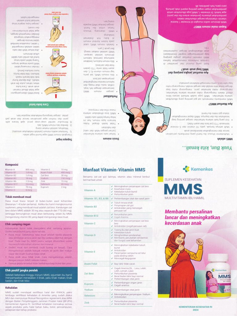 Mms | PDF