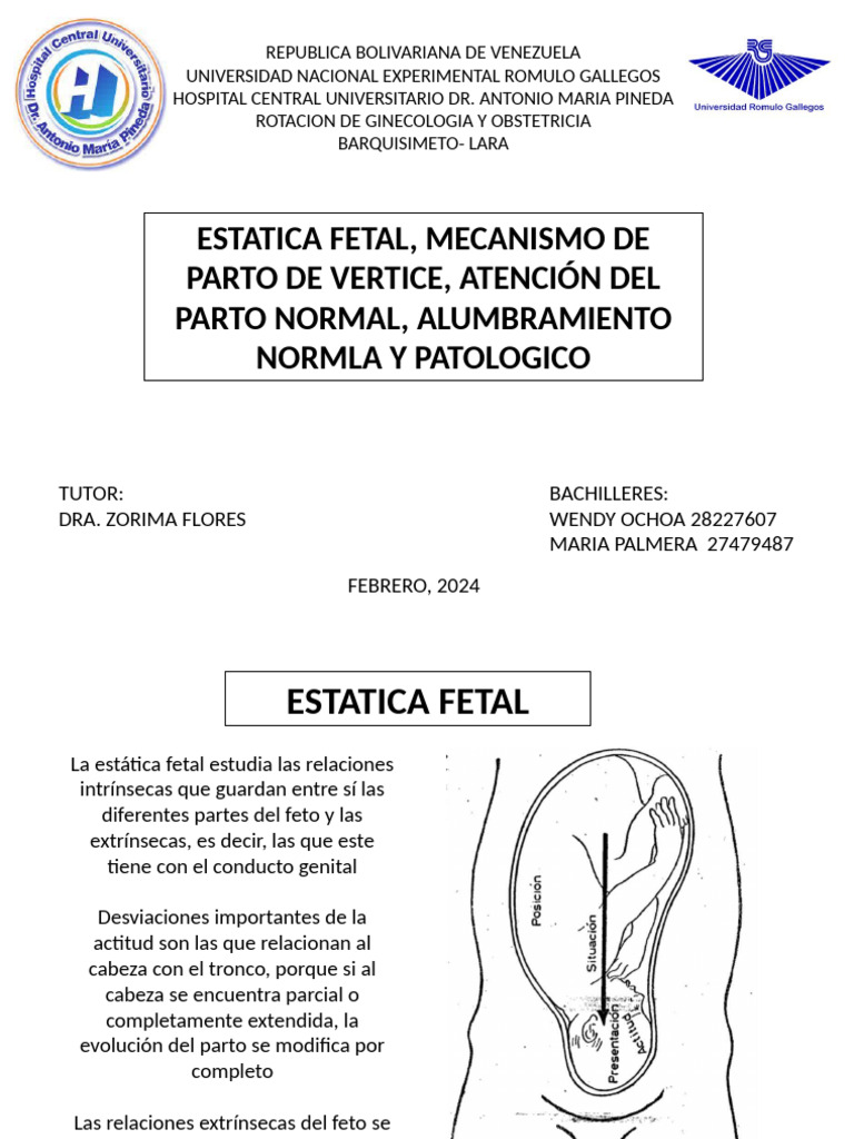 Atencion Del Parto | PDF | Parto | Pelvis