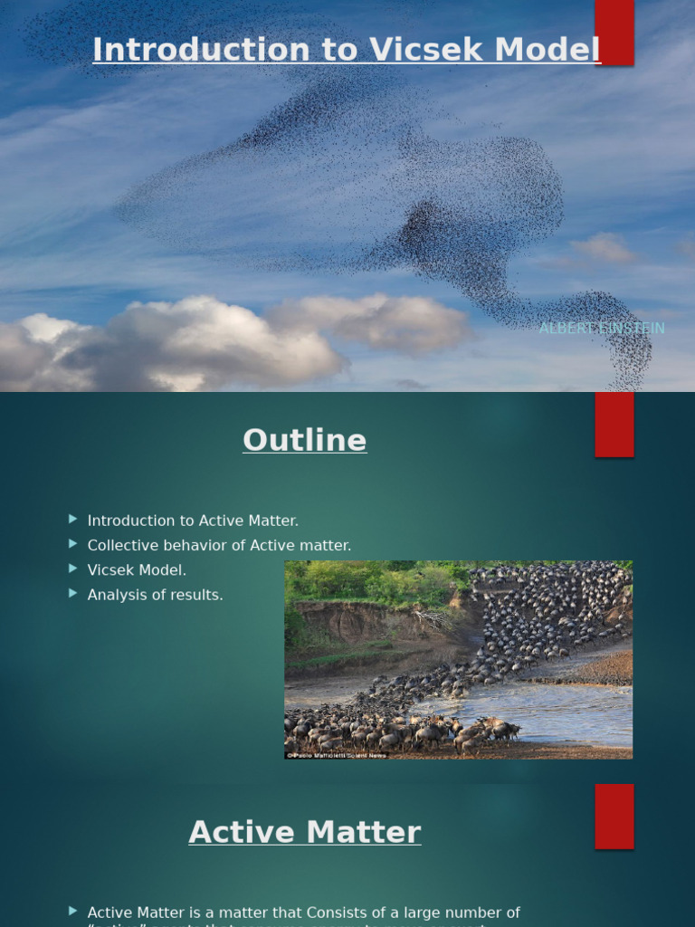 Understanding the Vicsek Model in Active Matter | PDF