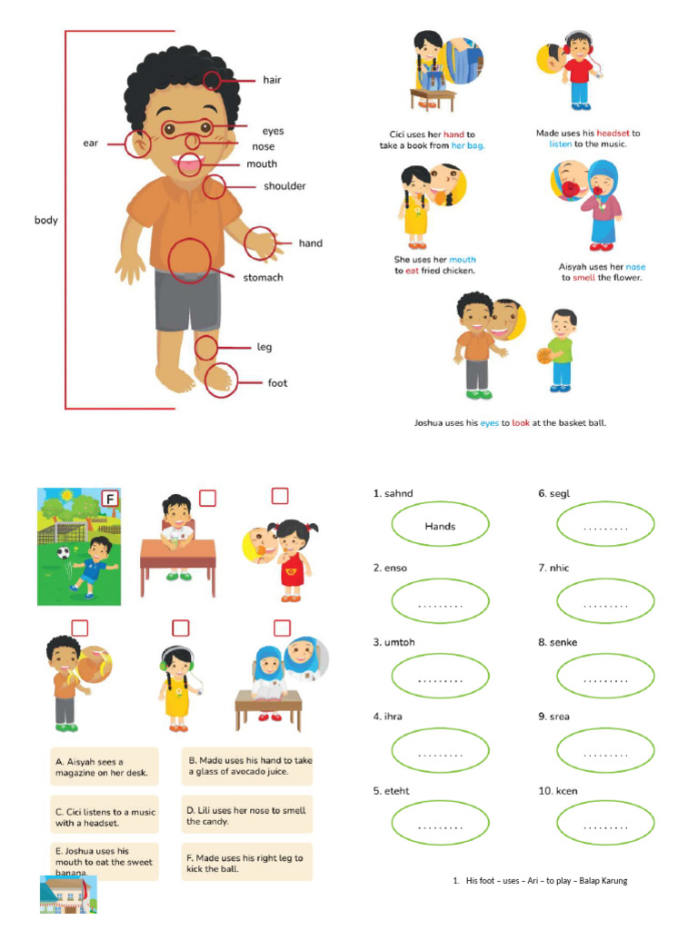 Part of Body Worksheet | PDF