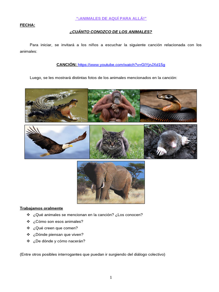 Explorando el Mundo Animal para Niños | PDF | Aves | Pluma