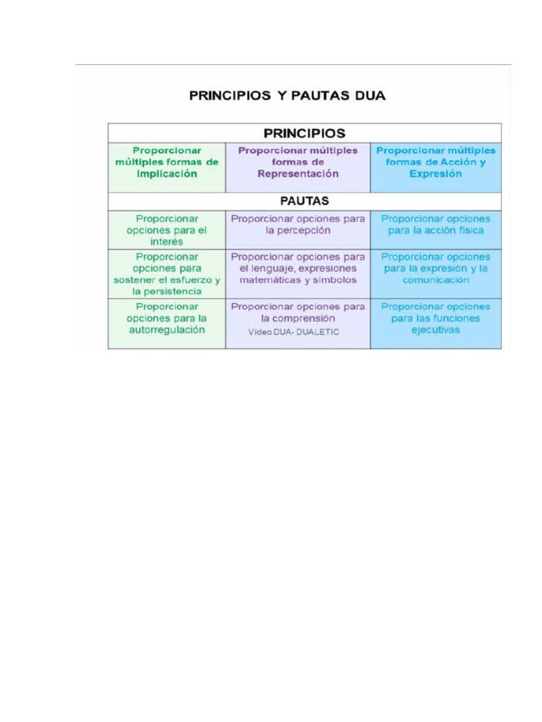 Principios y Pautas Del Dua | PDF