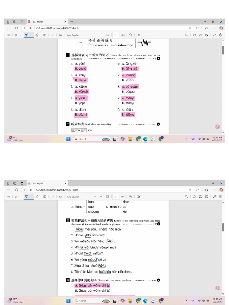 Screenshot | PDF