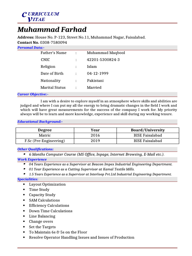 Muhammad Farhad's Professional CV | PDF