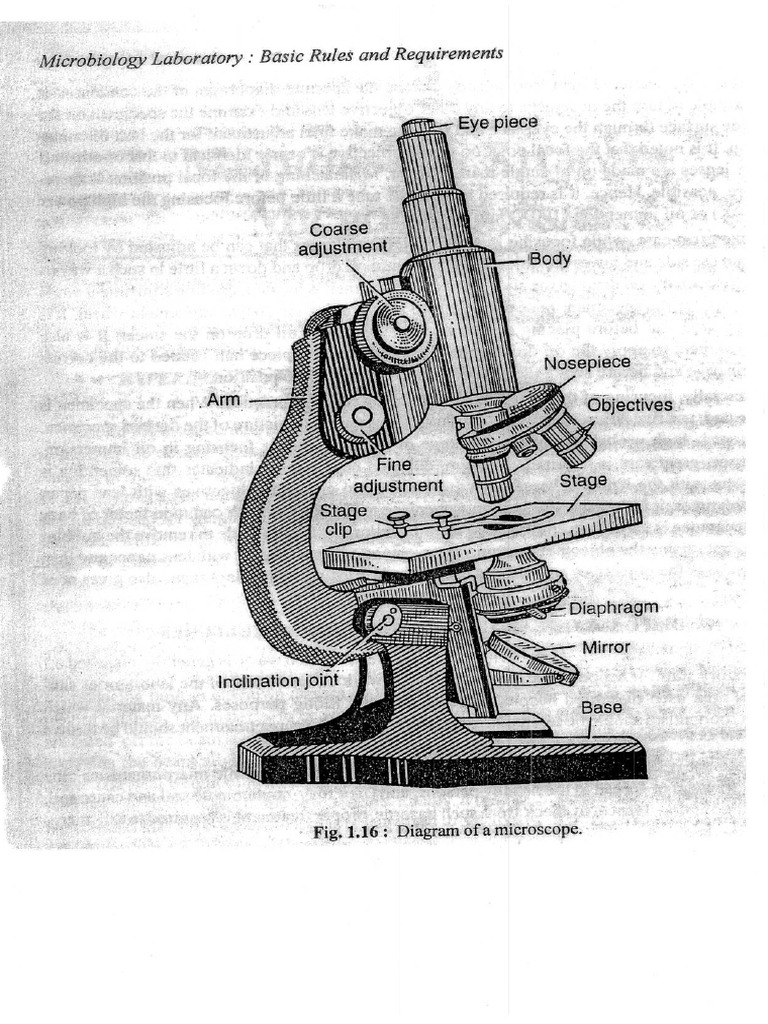 Microscope03 01 | PDF
