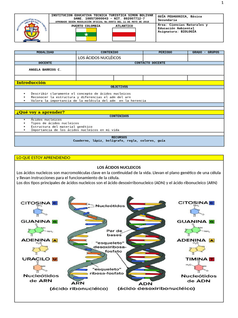 Estructura y Función de Ácidos Nucleicos | PDF | Rna | Adn